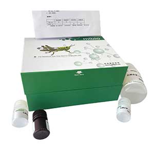 &alpha;-L阿拉伯呋喃糖苷酶(&alpha;-L-Af)测试盒/分光光度法主图